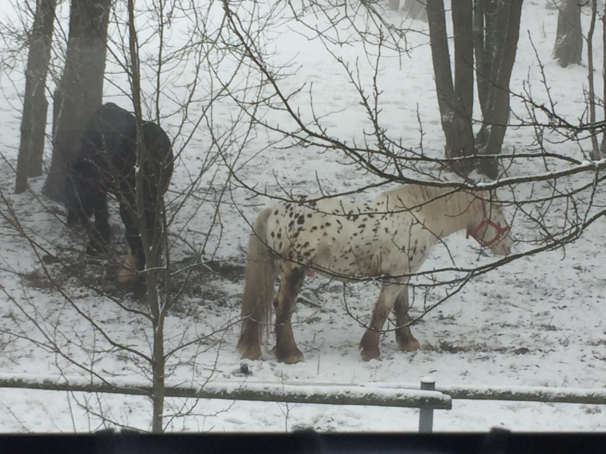 Penzion Na Slunicku Mariánská Buitenkant foto