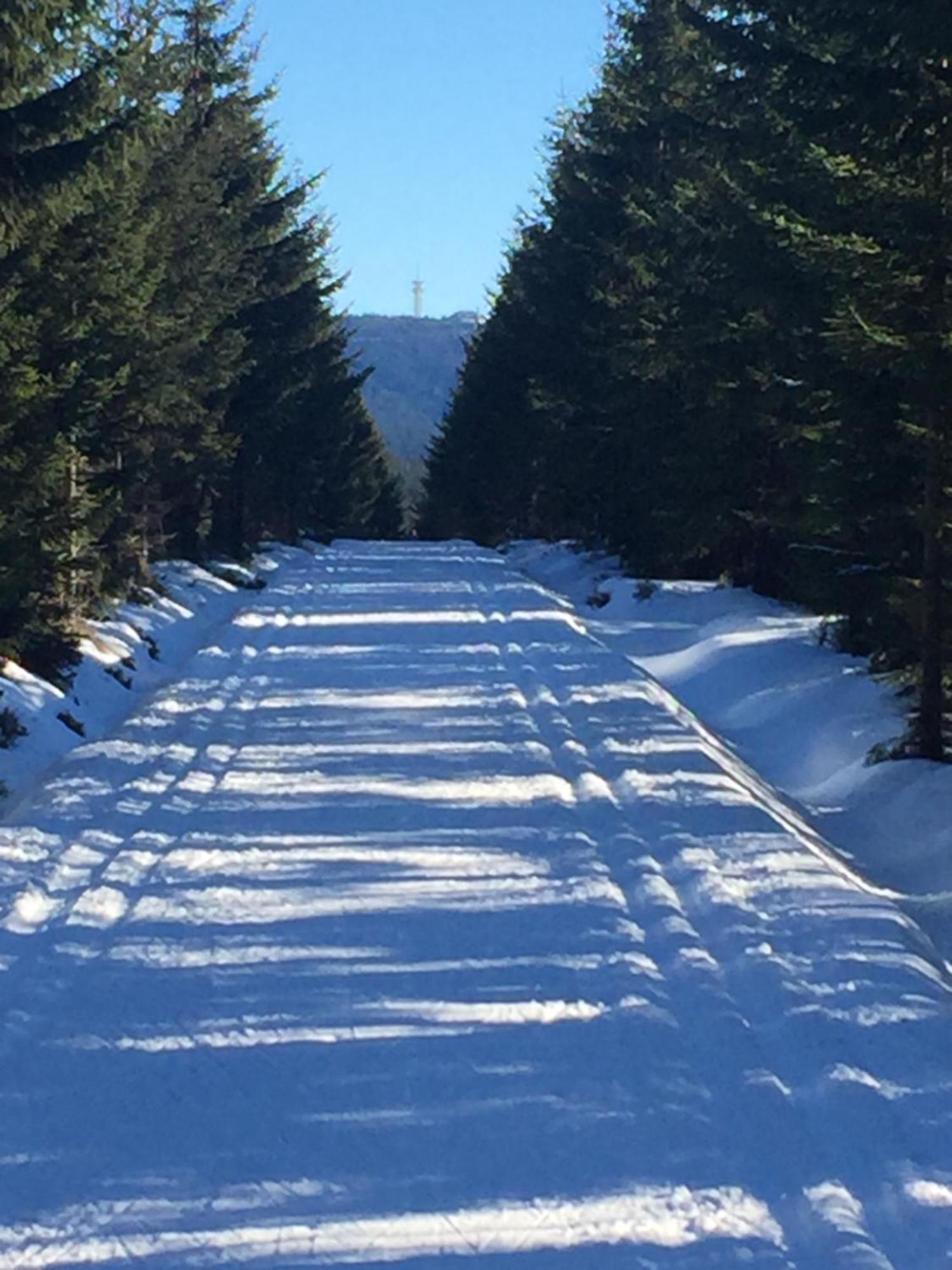 Penzion Na Slunicku Mariánská Buitenkant foto