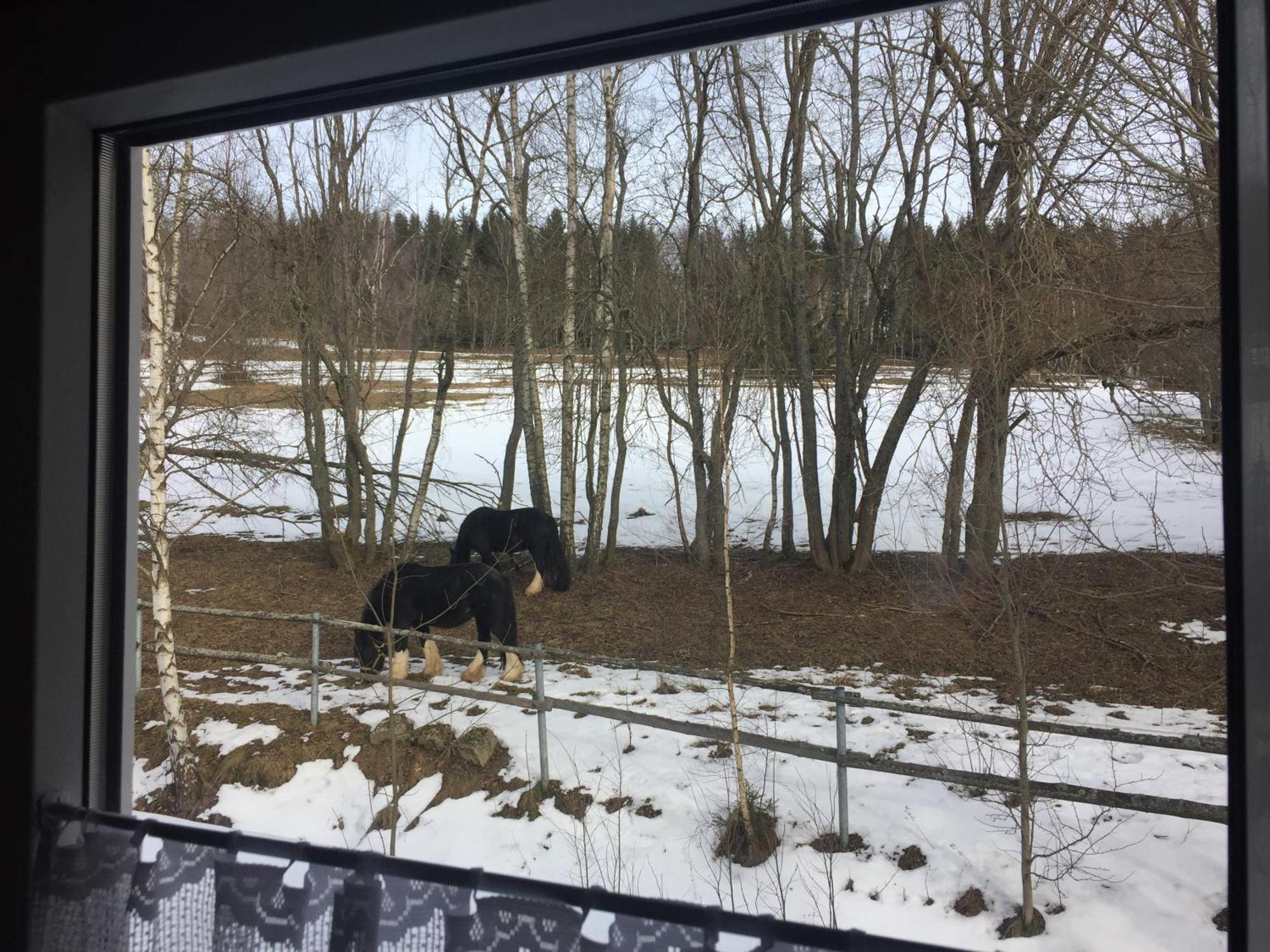 Penzion Na Slunicku Mariánská Buitenkant foto