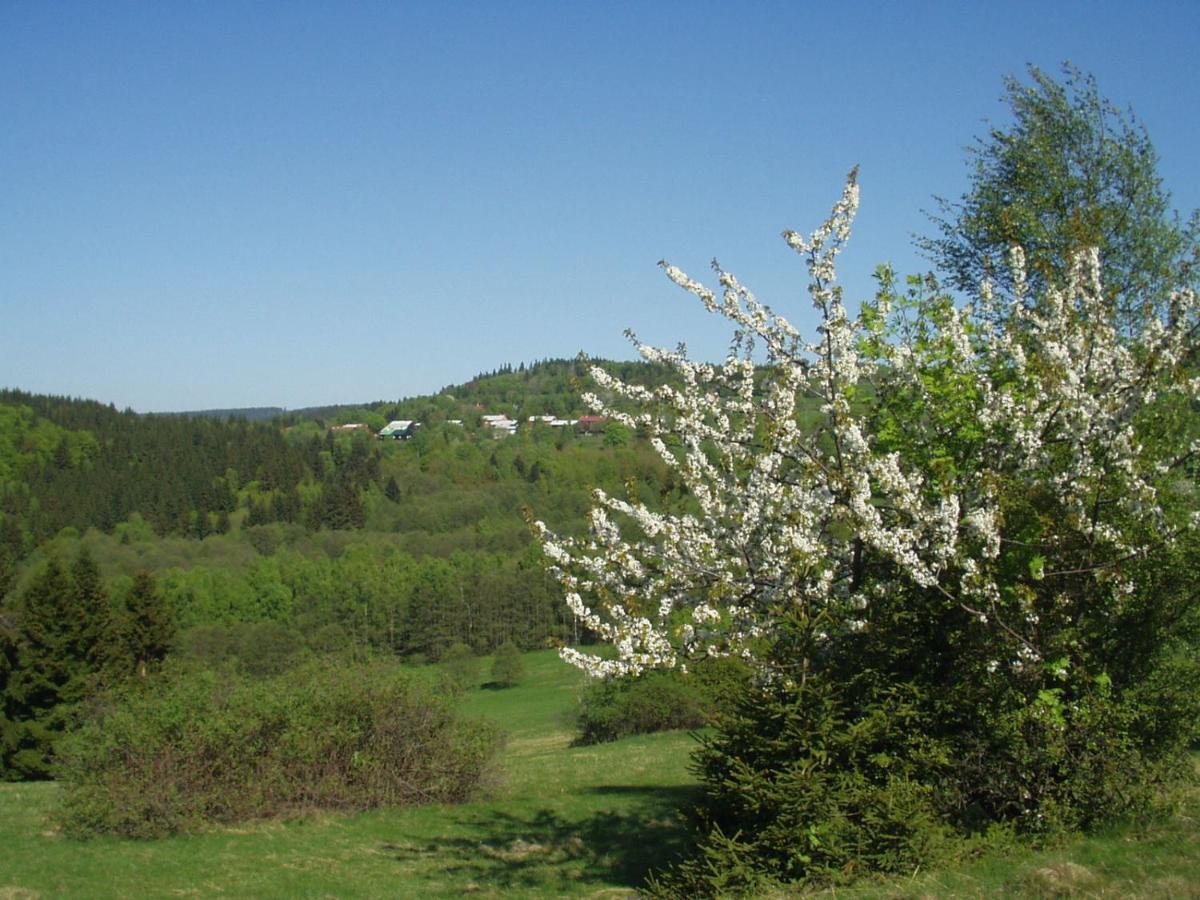 Penzion Na Slunicku Mariánská Buitenkant foto